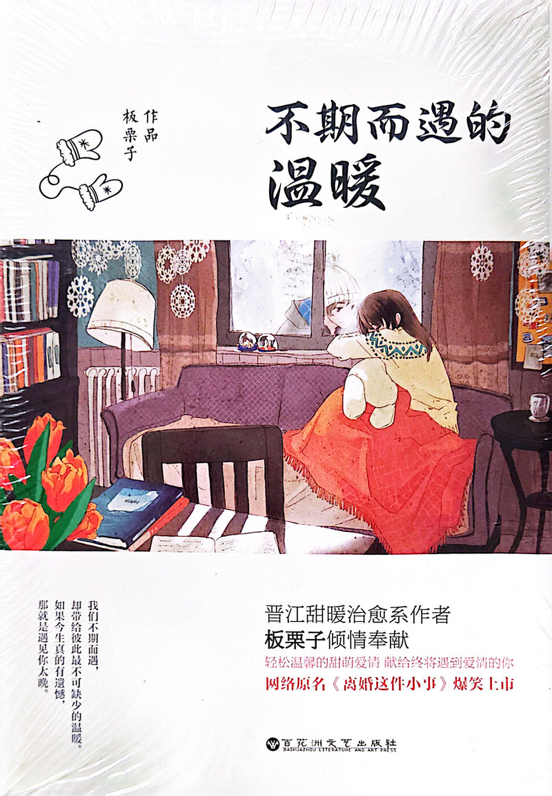 不期而遇的温暖 - 板栗子